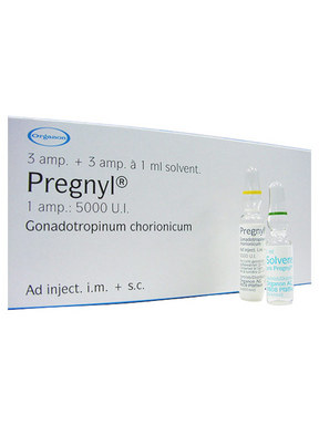 Pregnyl